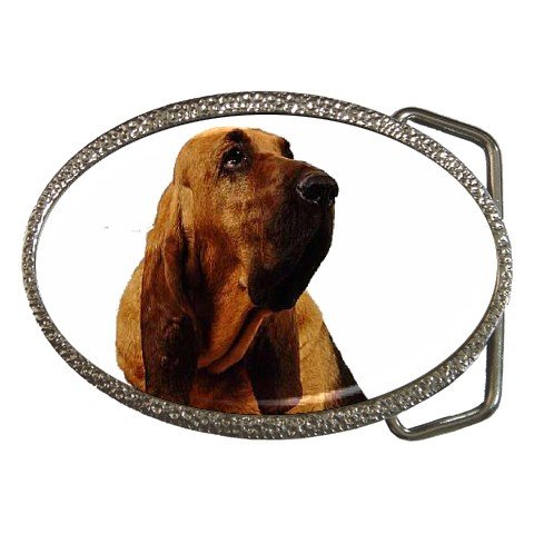 Bloodhound Dog Belt Buckle Pet Lover 12144803