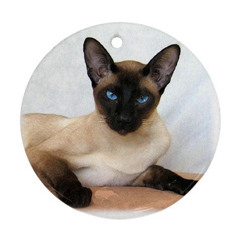 Siamese Cat Pet Lover Ornament Round 12203167