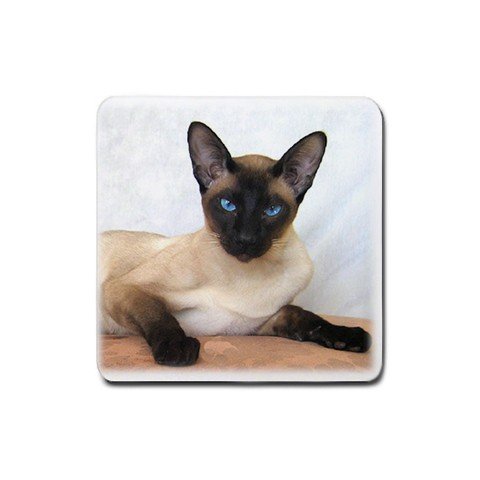 Siamese Cat Pet Lover Rubber Square Coaster 4 pack 12203178