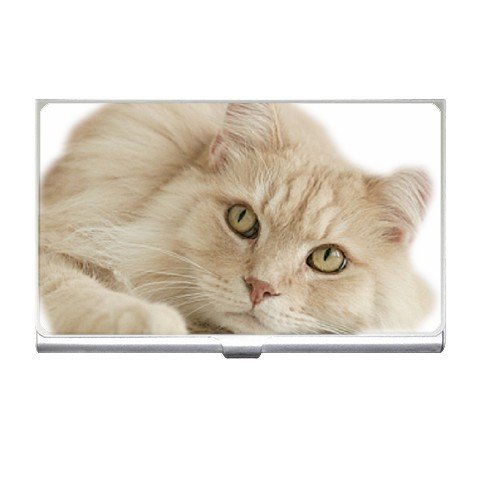 Maine Coon Cat Pet Lover Business Card Holder Case 12203252