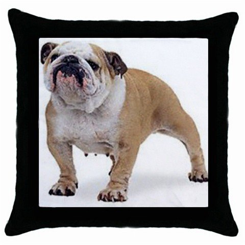 English Bulldog Dog 18" Pillow Case Pillowcase Toss or Throw 14326270