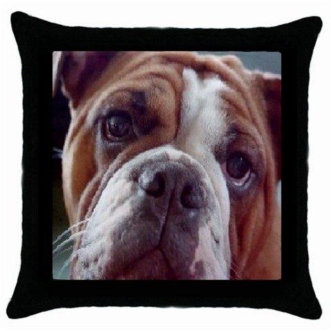 English Bulldog Dog 18" Pillow Case Pillowcase Toss or Throw 14326072