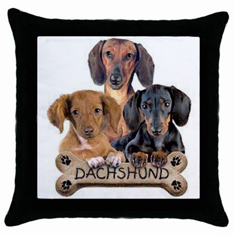 Dog Dachshund 18" Pillowcase Pillow Case Toss or Throw 15833023
