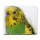 Parakeet Bird  Pet Lover  Large Mousepad 16302692