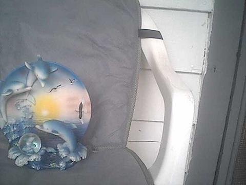 Dolphin Plaque