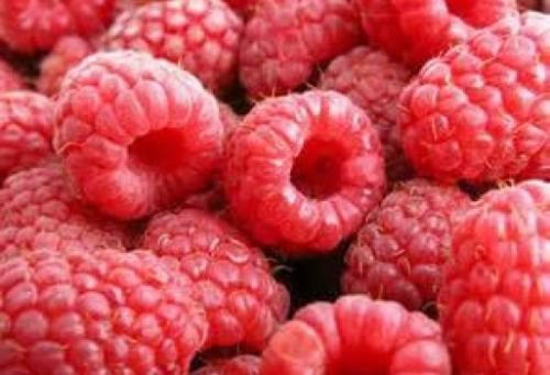 20 RED RASPBERRY SEEDS