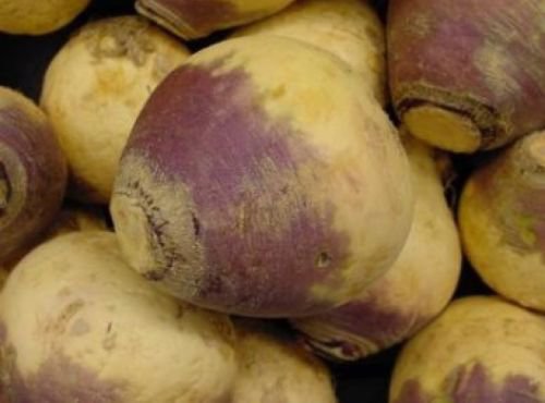 100 FRESH RUTABAGA AMERICAN PURPLE TOP SEEDS