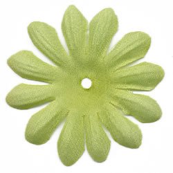 Bitty Blossoms-Apple Green Pack 35