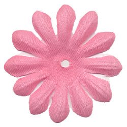 Bitty Blossoms- Chablis Pack 35