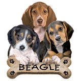 Beagle T-Shirt