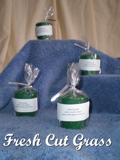 Fresh Cut Grass Votive Candle