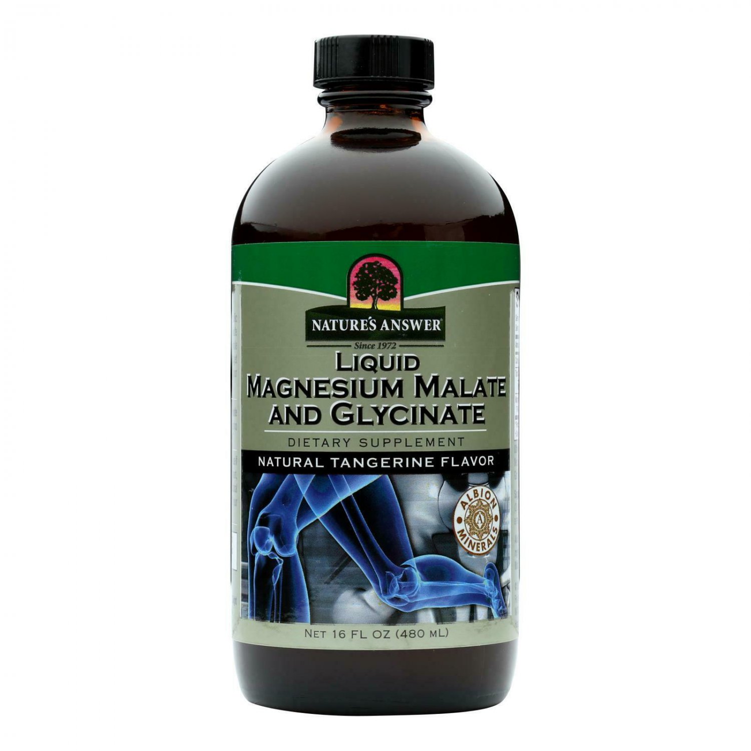 Nature's Answer - Magnesium Malate and Glycinate - Liquid - 16 fl ...