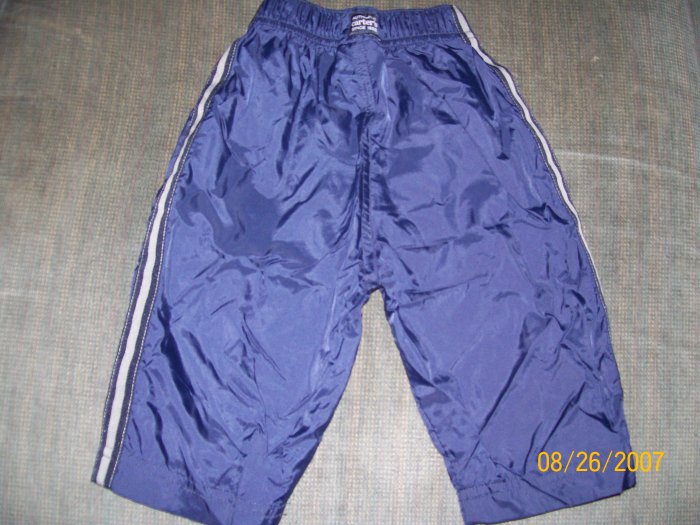 Carter's Blue Athletic Pants Size 9-12 Months