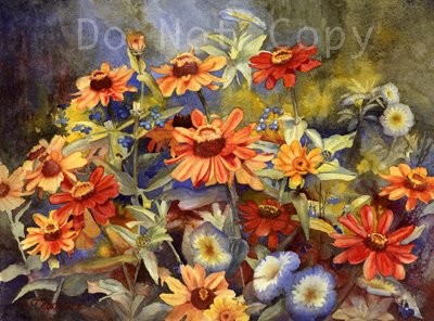 Daisy Mums ***ON SALE***