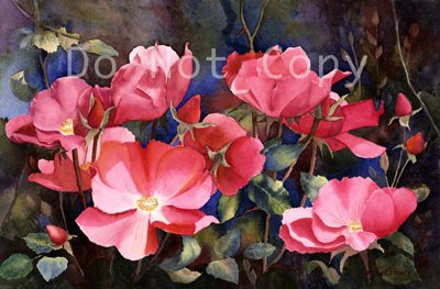 Wild Roses ***ON SALE***