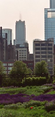 Urban Renewal ***ON SALE***