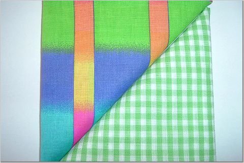 Green Gingham n Varigated Neon Print - Two FAT Quarters (2750)