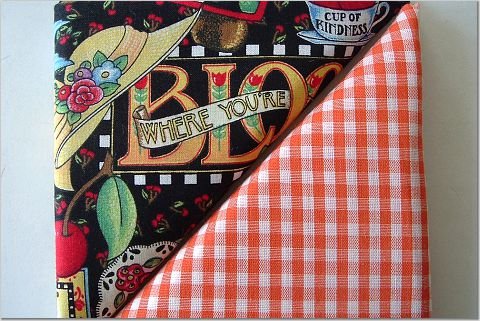 Mary Englebreit Print n' Orange Gingham - TWO Fat Quarters (2830)