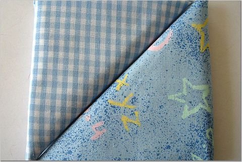Baby Blue Gingham n' Blue Child Print - TWO Fat Quarters (2837)