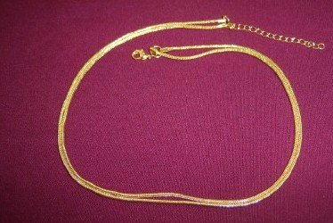Duo Goldtone Necklace