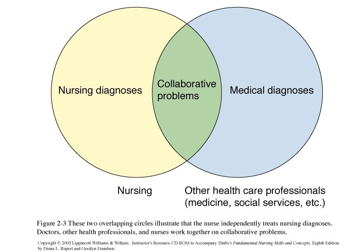 Fundamentals - Nursing Notes and Files on CD-Rom