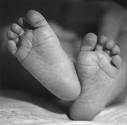 Maternity - Nursing Notes and Files - CD-Rom