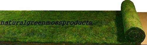 16"X20' Sheet Moss Runner table wedding arch aisle decorations ceremony sheet