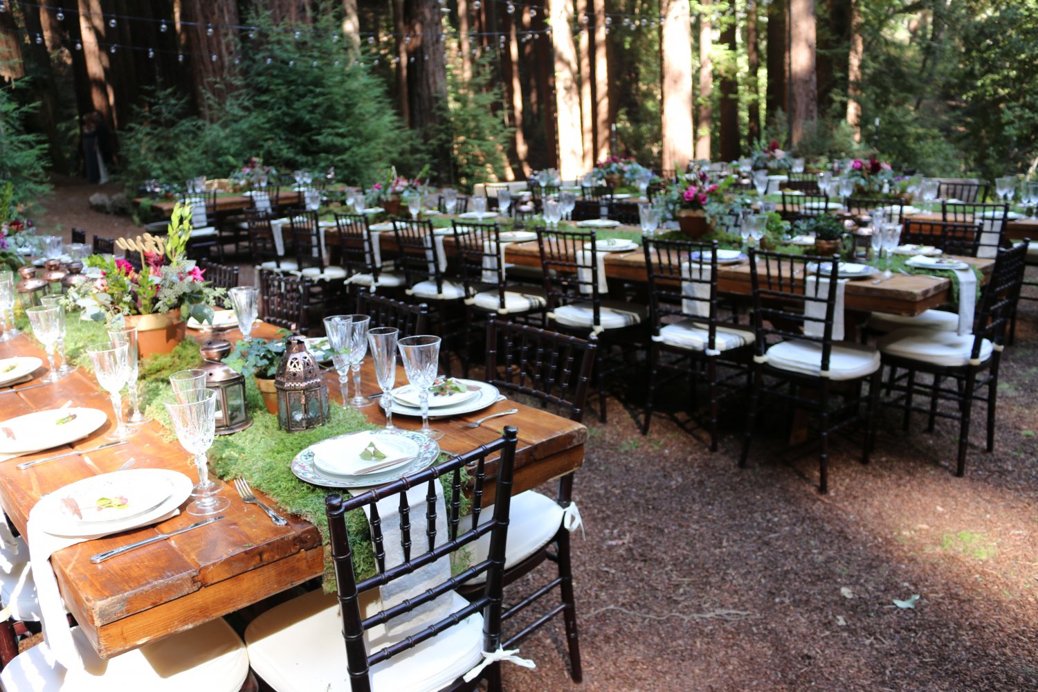 12"x20' Real Moss Runner rustic display chic shabby settings bouquet natural outdoor fairy woodland
