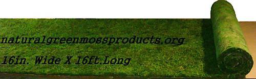 2 MOSS RUNNERS16"X16' wedding decoration pew church escort table centerpieces moss mat