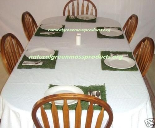 6 Moss chargers 12"X16" chargers moss covered placemats table cloth