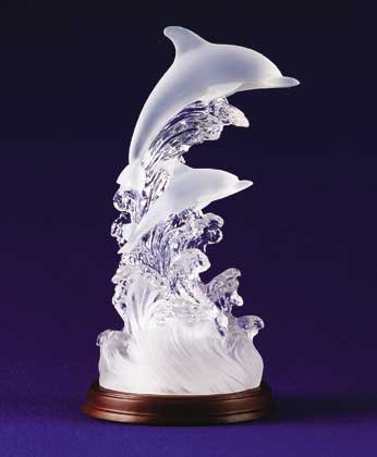 Dolphins on a light Wave