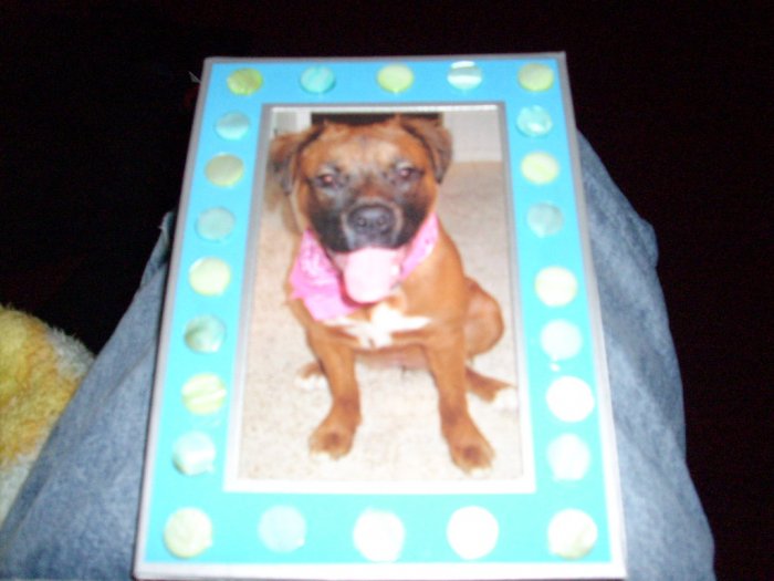 Picture Frame