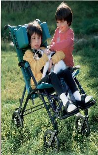 Cruiser Stroller CX16