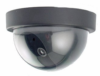Dome Dummy Camera with Motion Activated Light