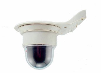 Dome Dummy Camera w/ LED light: Wall or Ceiling Mounted DDCLWC