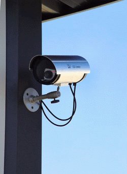 Dummy Camera in Circular Outdoor Housing w/ Light