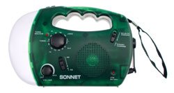 Dynamo or Solar Radio Flashlight