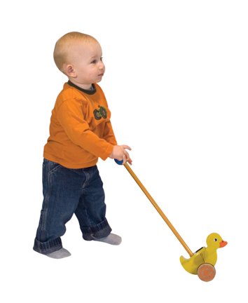 Flapping Duck Push Toy by Melissa & Doug
