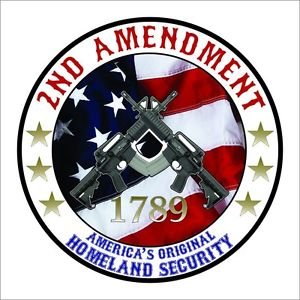 2nd Amendment AR 15 Printed Vinyl Decal / Sticker