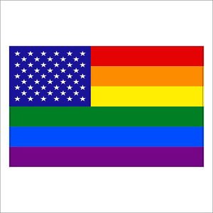 Gay Pride Rainbow USA America Flag Vinyl Decal / Sticker