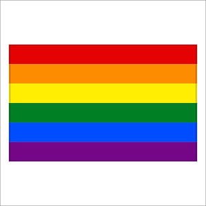 Gay Pride Rainbow Flag LGBT Decal / Sticker