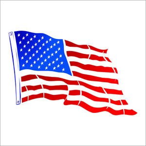 USA America Flying Flag Decal Sticker