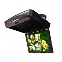 15"Roof DVD Player(JE-815)