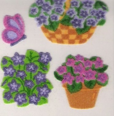 African Violets