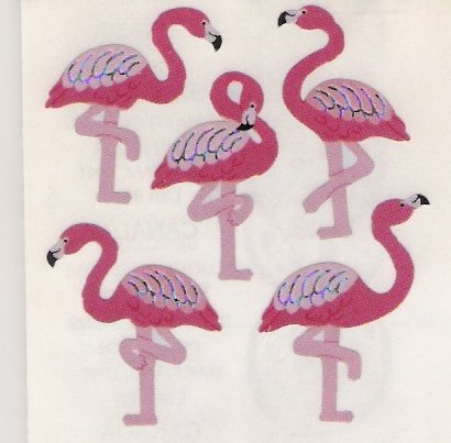 Pink Flamingos