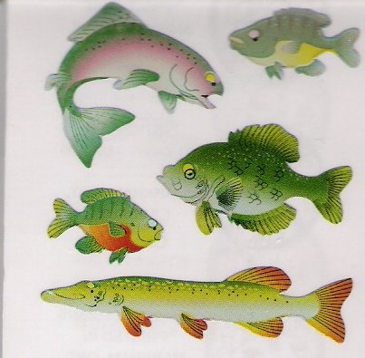 Pearly Fish