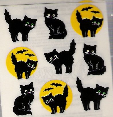Mini Black Cats