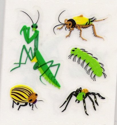 Grasshopper