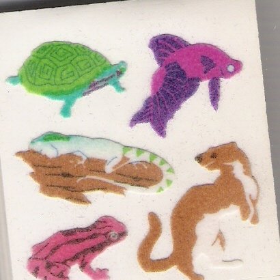 Fuzzy Turtle, Lizard...