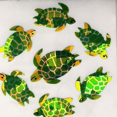 Swimming Turtles